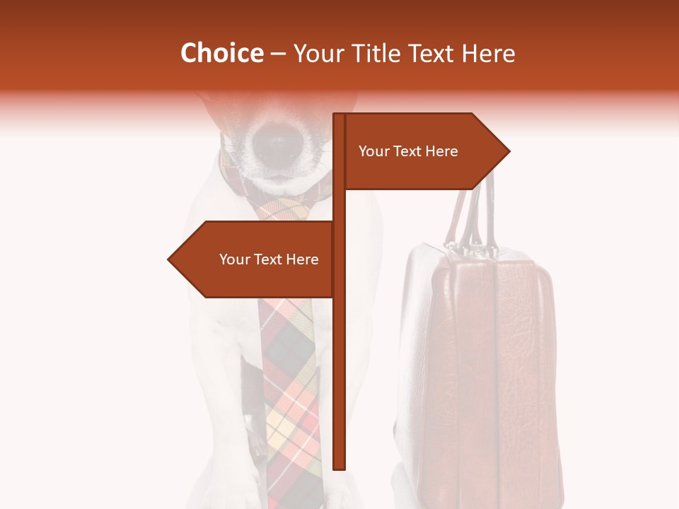 Professional Spectacle Suitcase PowerPoint Template