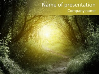 Nightmare Green Flower PowerPoint Template