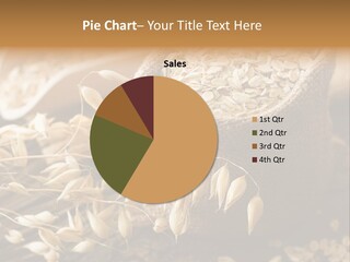 On White Oat Organic PowerPoint Template