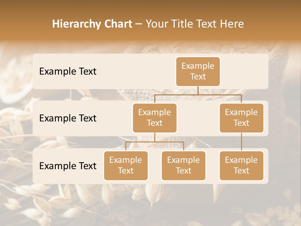On White Oat Organic PowerPoint Template