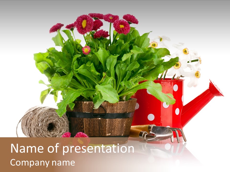 Flower String Shovel PowerPoint Template