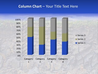 Outdoor Nature Dry PowerPoint Template