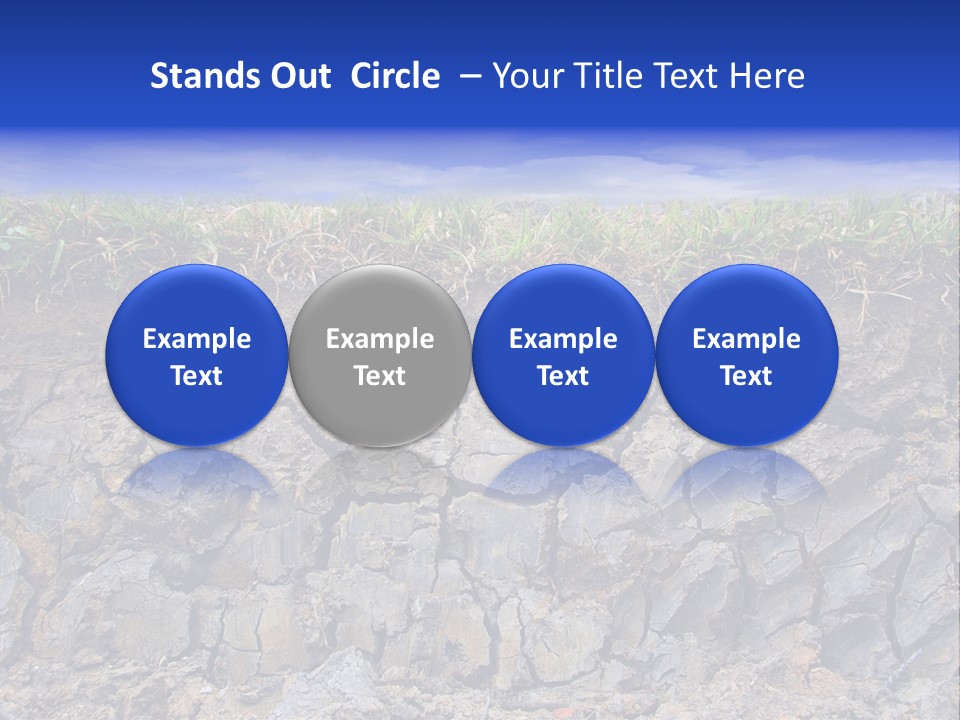 Outdoor Nature Dry PowerPoint Template