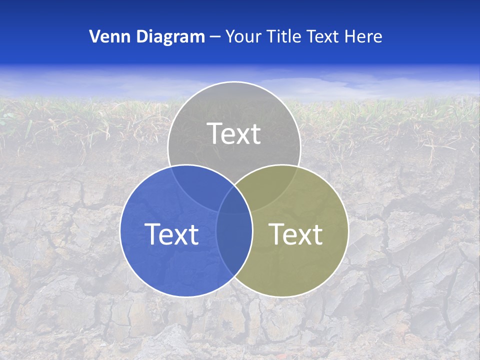 Outdoor Nature Dry PowerPoint Template