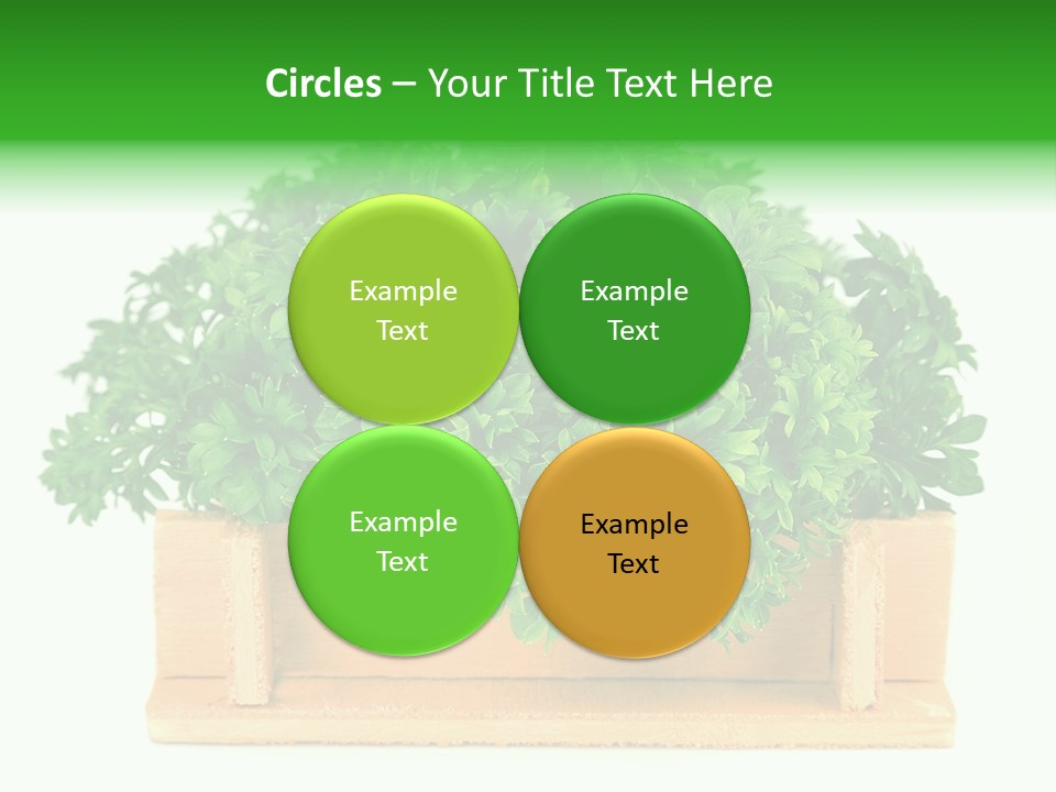 Garden Parsley Green PowerPoint Template
