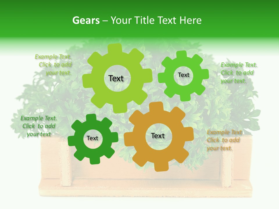 Garden Parsley Green PowerPoint Template
