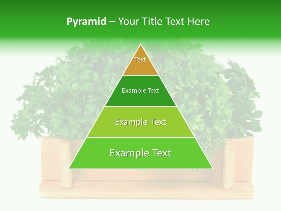 Garden Parsley Green PowerPoint Template
