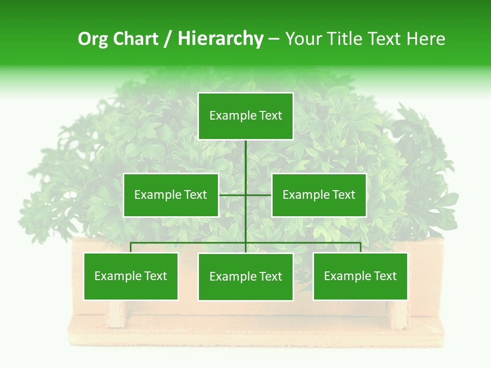 Garden Parsley Green PowerPoint Template
