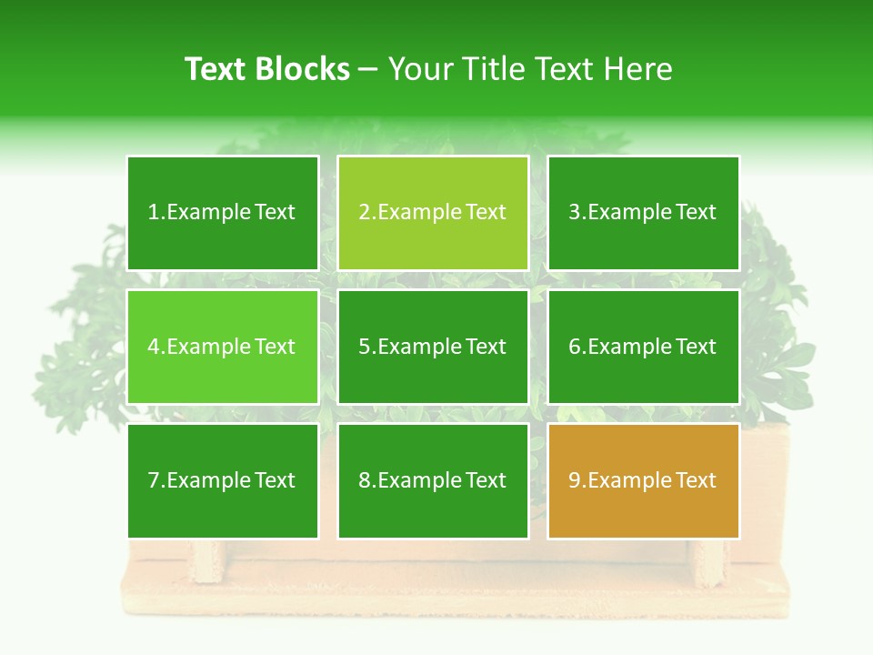 Garden Parsley Green PowerPoint Template