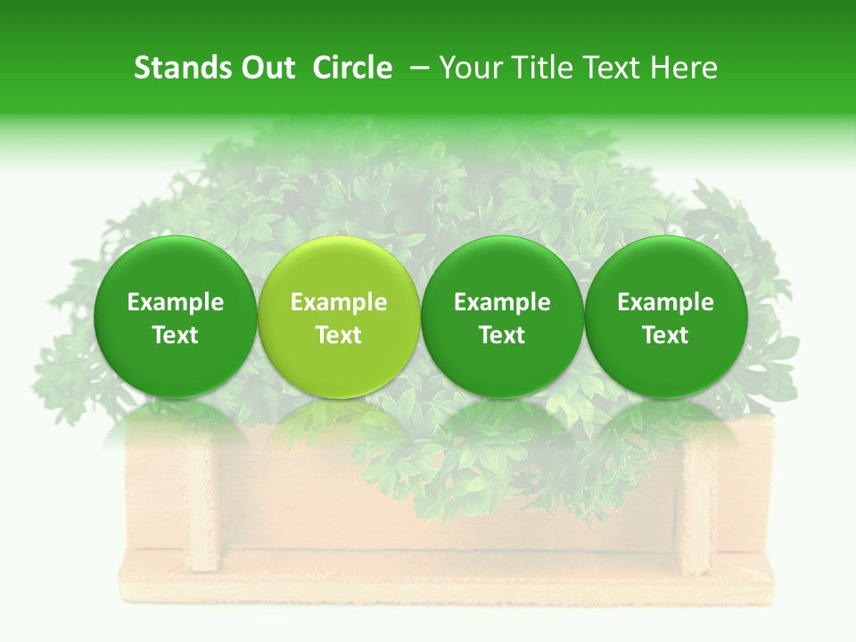 Garden Parsley Green PowerPoint Template