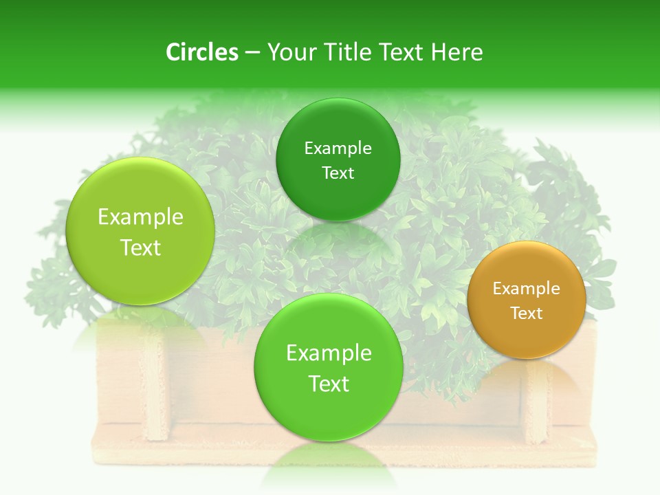 Garden Parsley Green PowerPoint Template