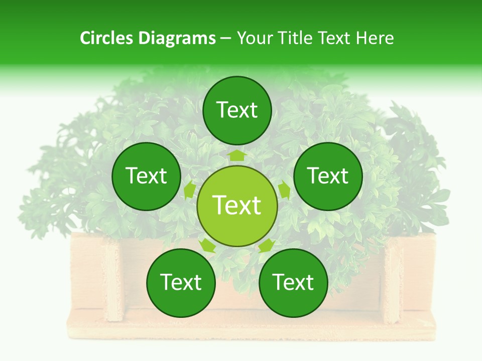 Garden Parsley Green PowerPoint Template