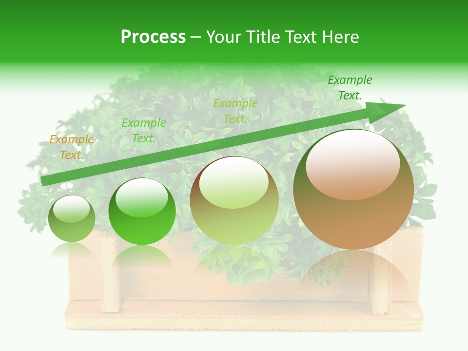 Garden Parsley Green PowerPoint Template