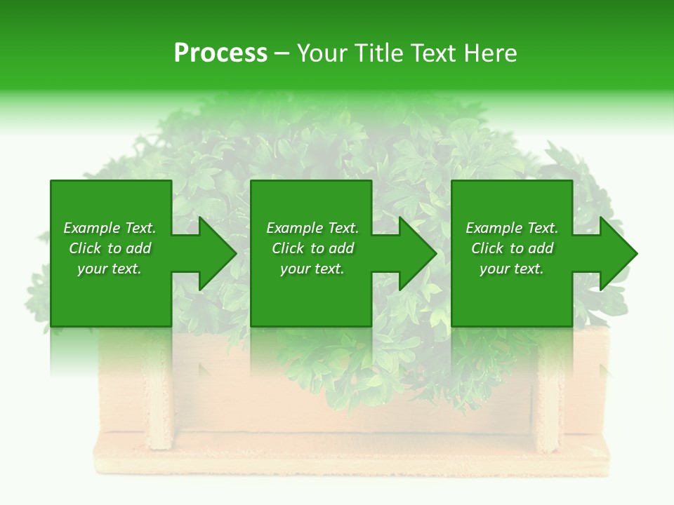Garden Parsley Green PowerPoint Template