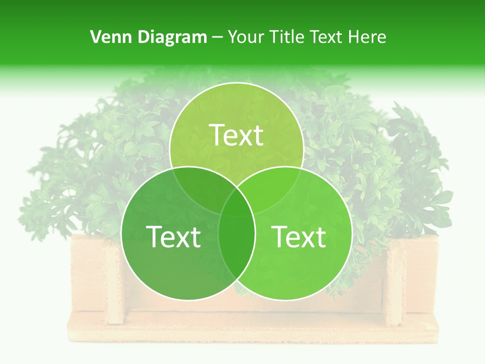 Garden Parsley Green PowerPoint Template