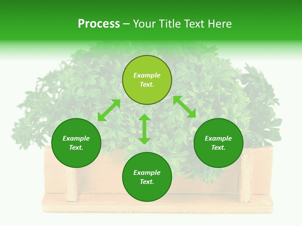 Garden Parsley Green PowerPoint Template