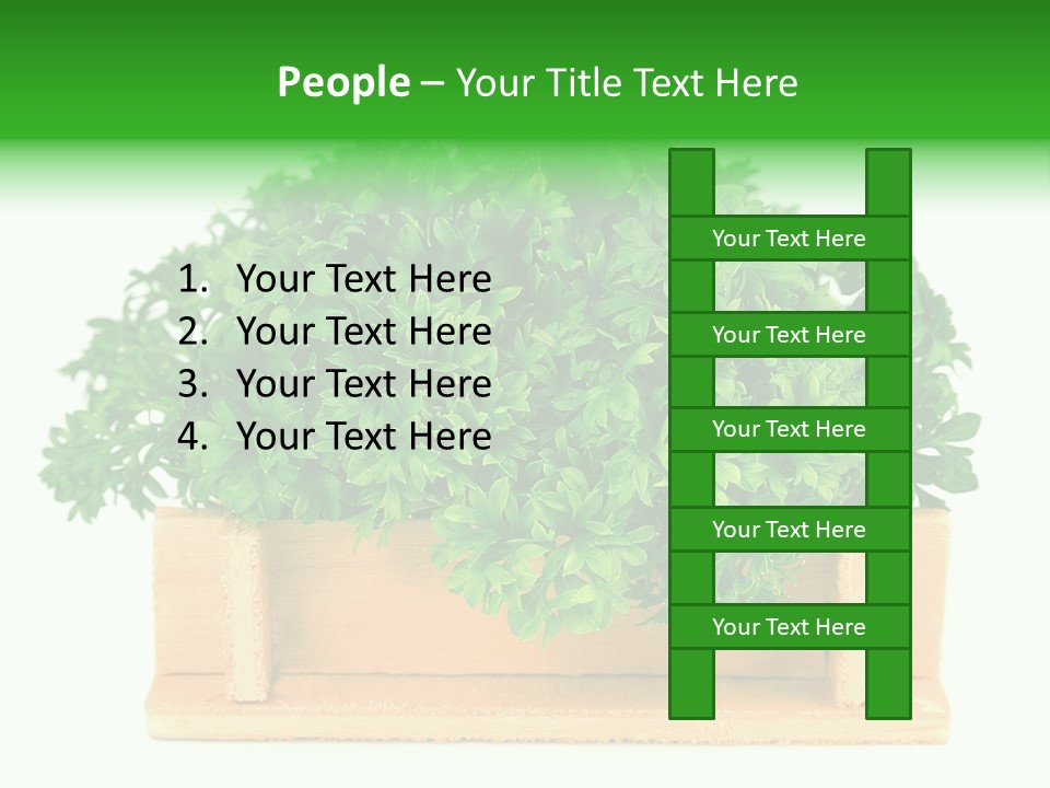Garden Parsley Green PowerPoint Template