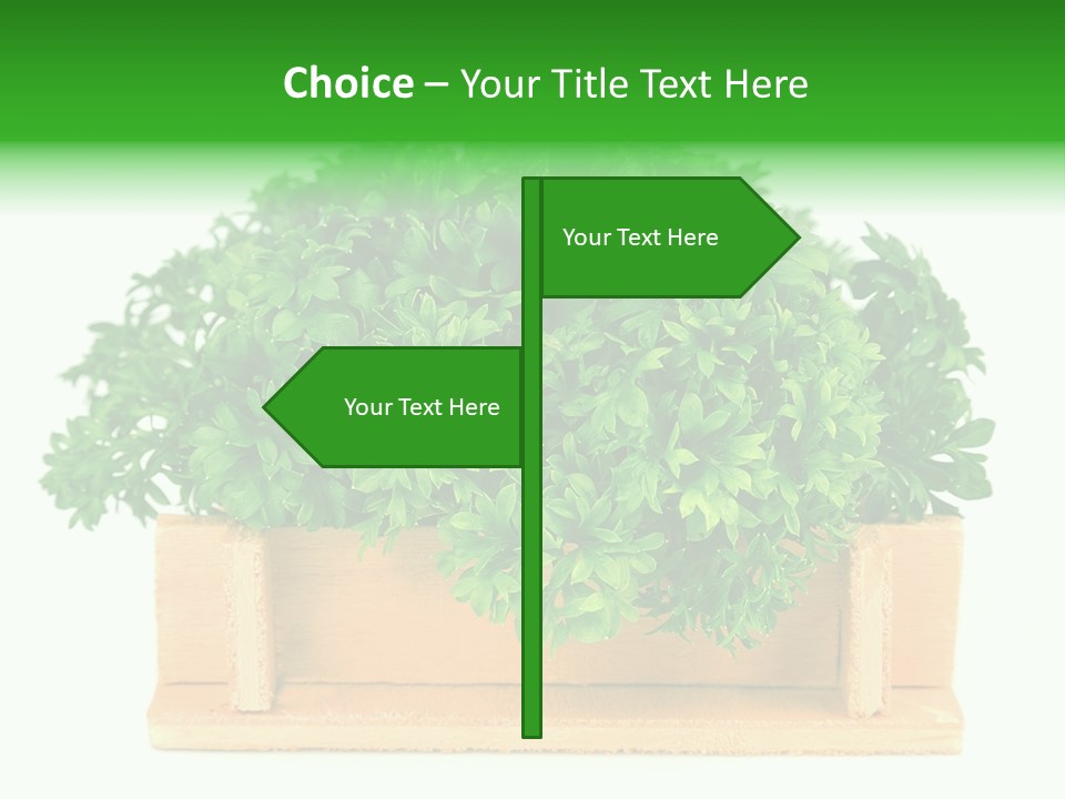 Garden Parsley Green PowerPoint Template