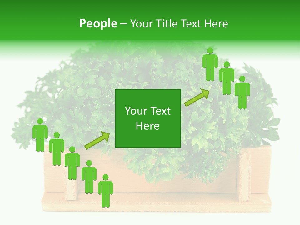 Garden Parsley Green PowerPoint Template