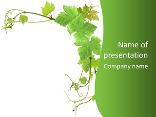 Framing Pastoral Plant PowerPoint Template