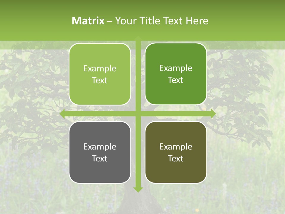 Tree Buddhism Meadow PowerPoint Template