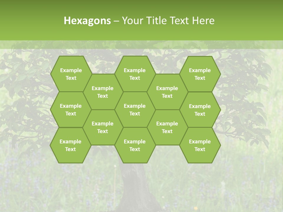 Tree Buddhism Meadow PowerPoint Template