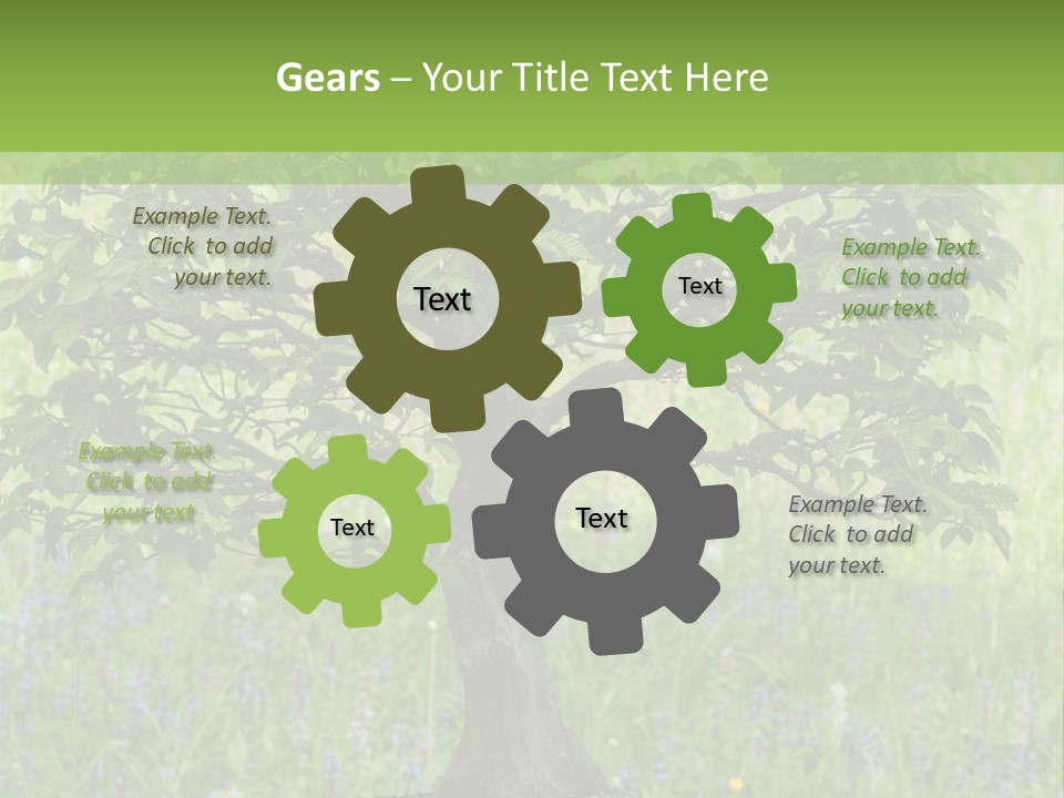 Tree Buddhism Meadow PowerPoint Template