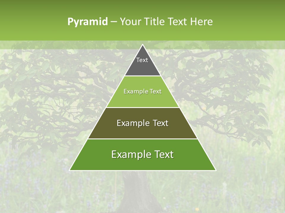 Tree Buddhism Meadow PowerPoint Template