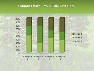 Tree Buddhism Meadow PowerPoint Template