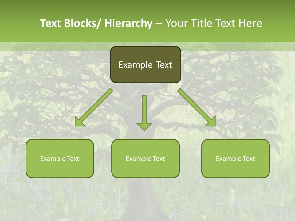 Tree Buddhism Meadow PowerPoint Template