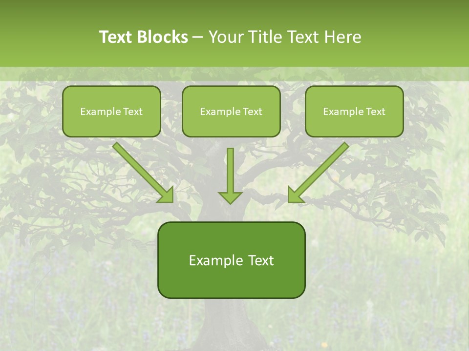 Tree Buddhism Meadow PowerPoint Template