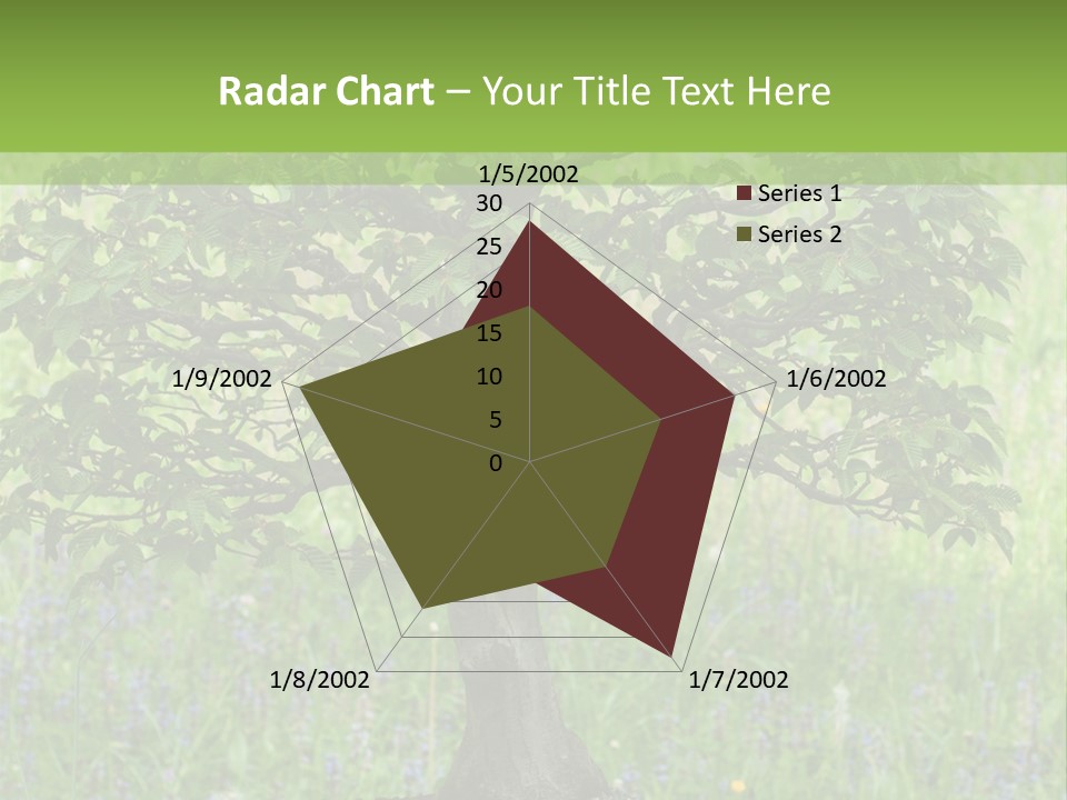 Tree Buddhism Meadow PowerPoint Template