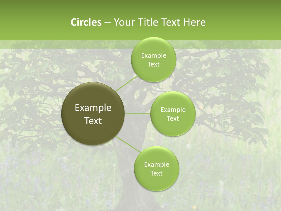 Tree Buddhism Meadow PowerPoint Template