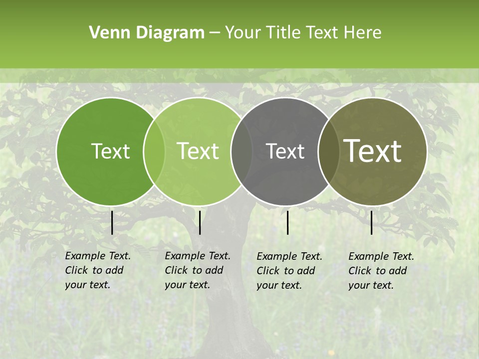 Tree Buddhism Meadow PowerPoint Template