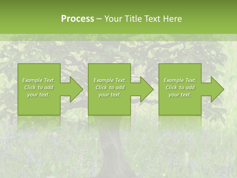 Tree Buddhism Meadow PowerPoint Template