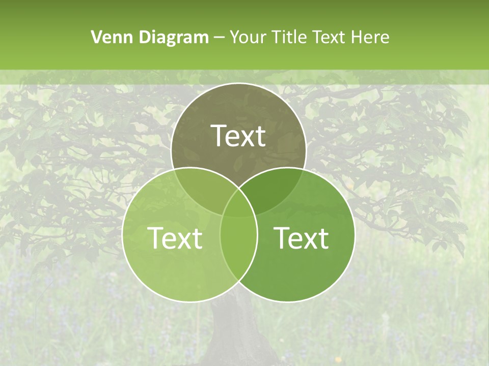 Tree Buddhism Meadow PowerPoint Template