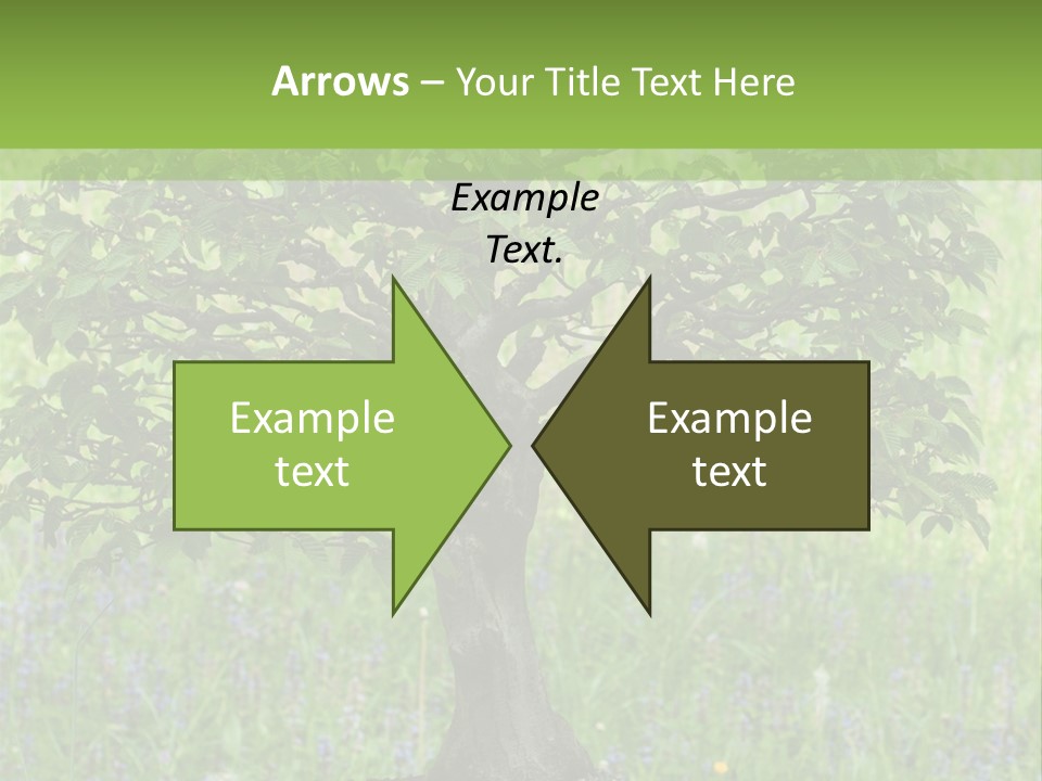 Tree Buddhism Meadow PowerPoint Template
