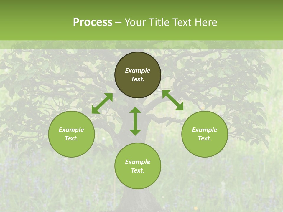 Tree Buddhism Meadow PowerPoint Template