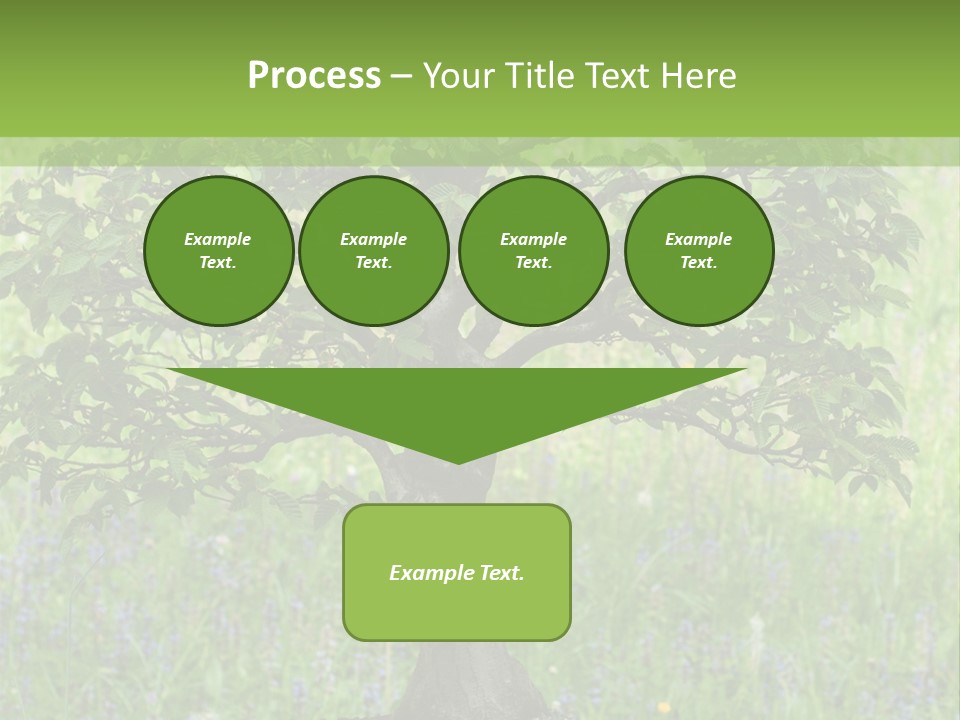 Tree Buddhism Meadow PowerPoint Template