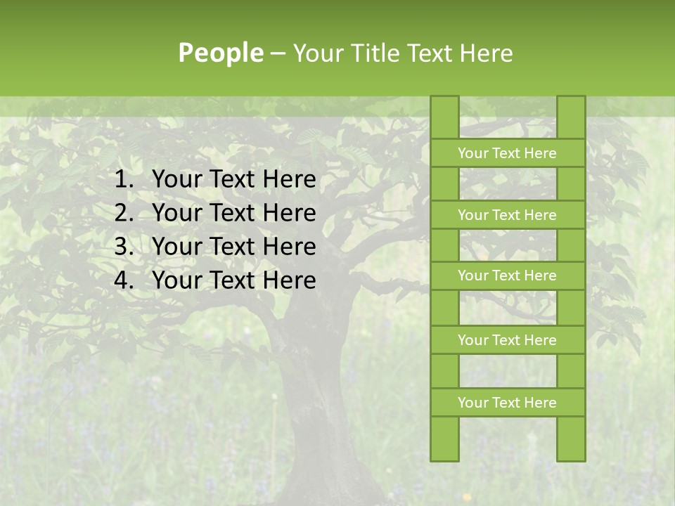 Tree Buddhism Meadow PowerPoint Template