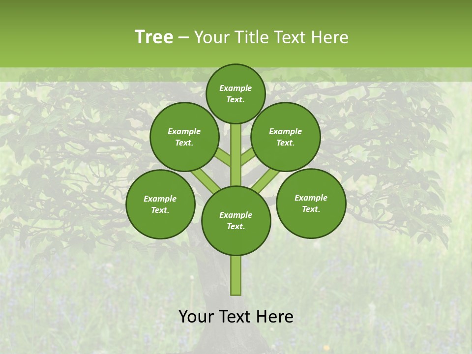 Tree Buddhism Meadow PowerPoint Template