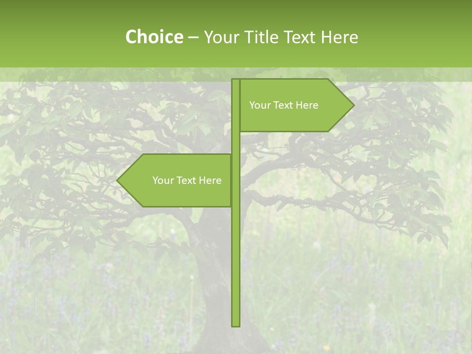 Tree Buddhism Meadow PowerPoint Template