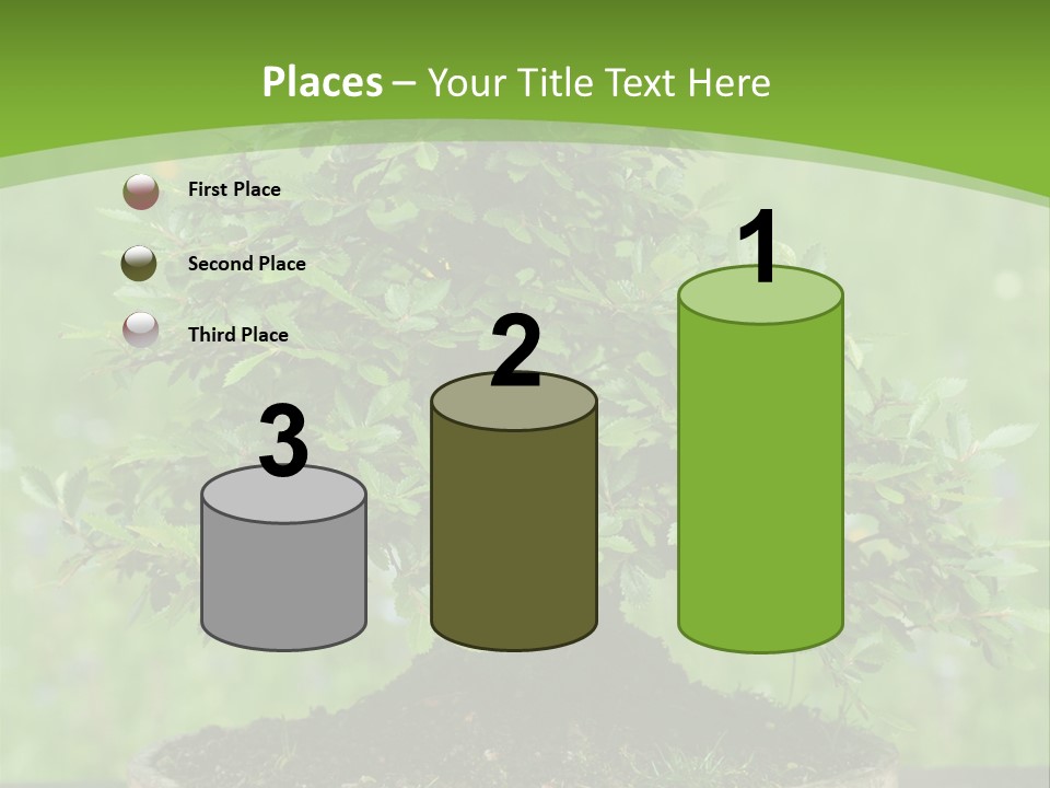 Chinese Small Japan PowerPoint Template