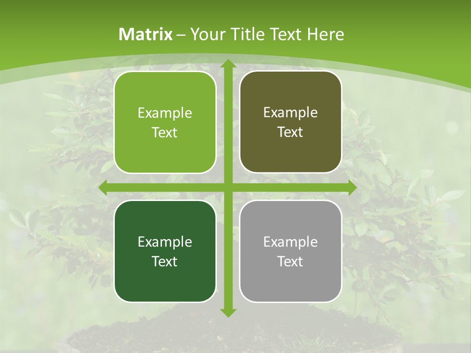 Chinese Small Japan PowerPoint Template