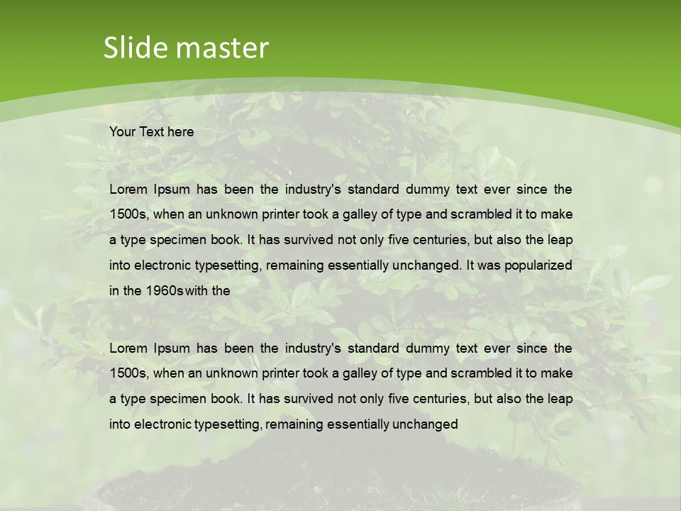 Chinese Small Japan PowerPoint Template