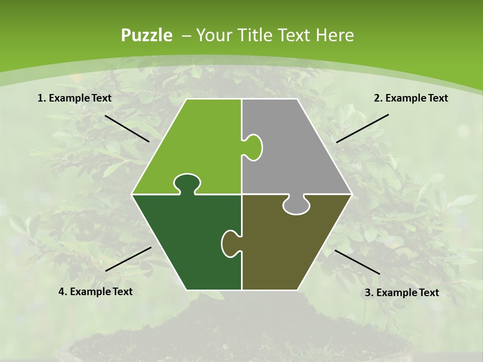 Chinese Small Japan PowerPoint Template