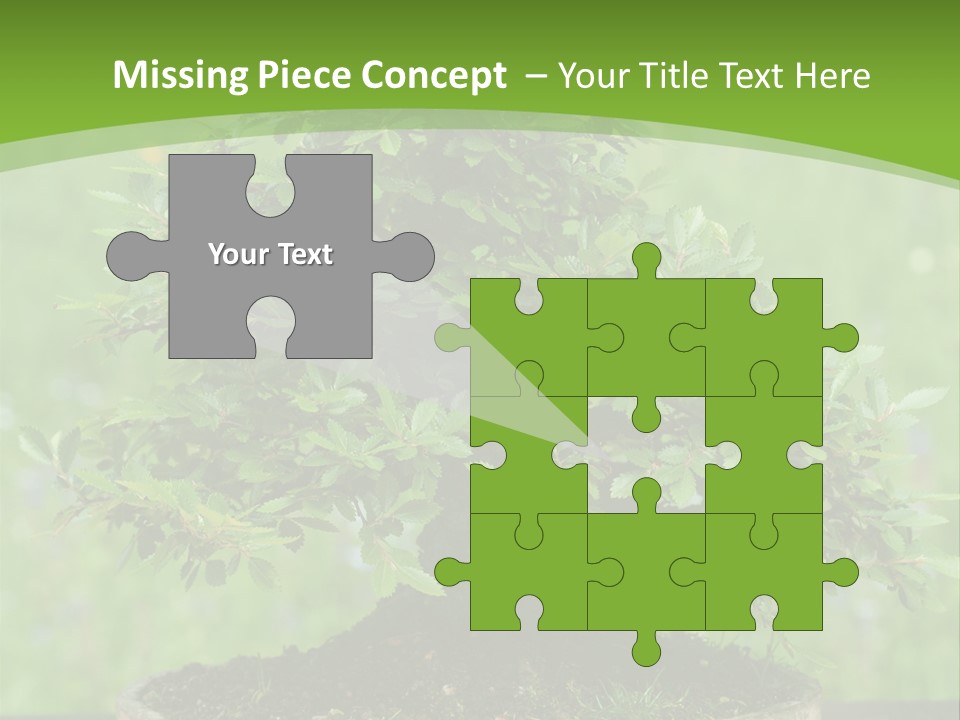 Chinese Small Japan PowerPoint Template