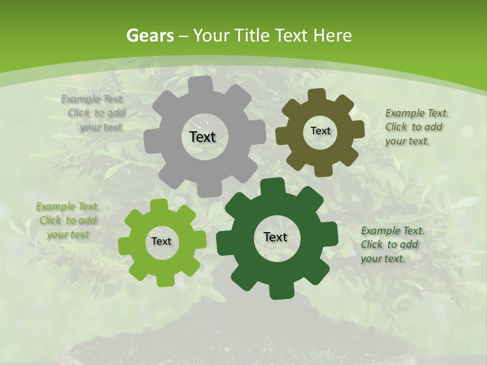 Chinese Small Japan PowerPoint Template