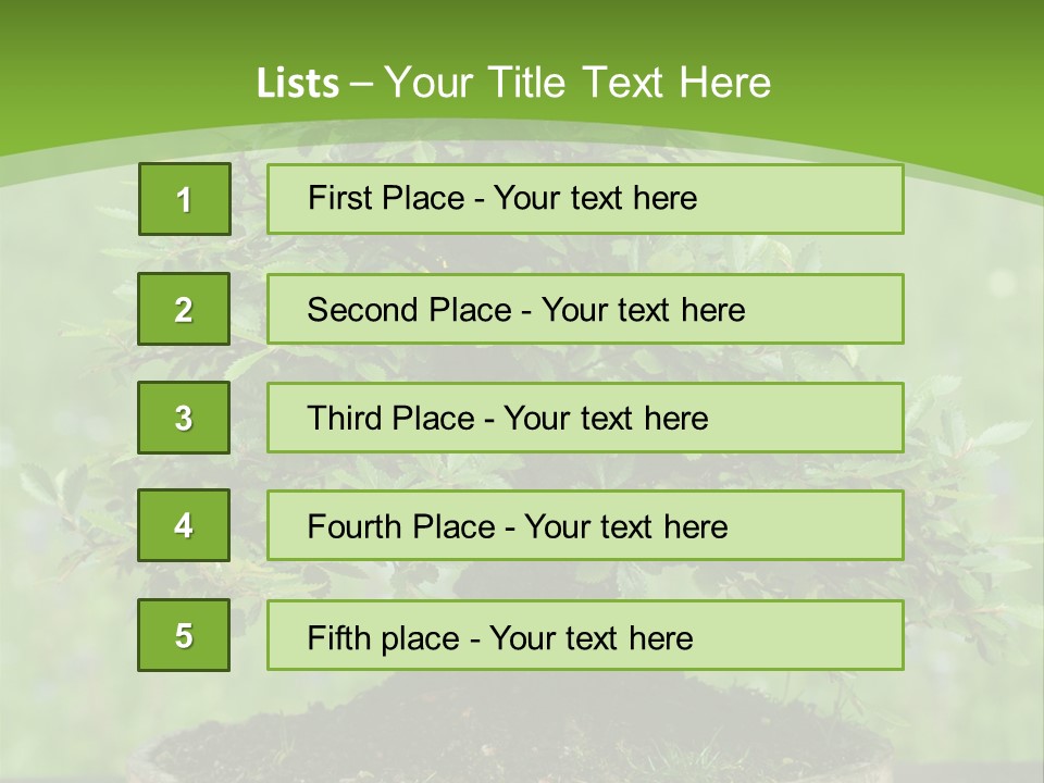 Chinese Small Japan PowerPoint Template