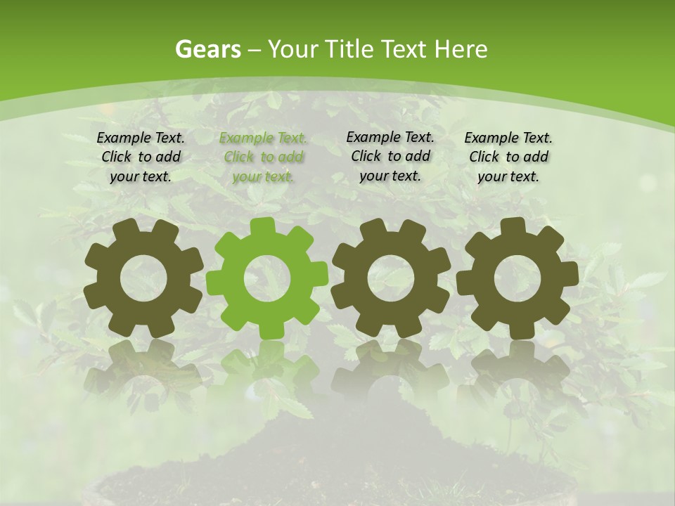 Chinese Small Japan PowerPoint Template